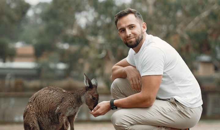 content man hand feeding adorable kangaroo